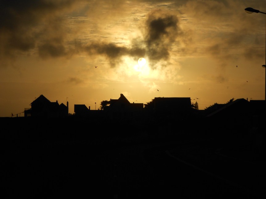 A Backpack and a Paper&nbsp;Home