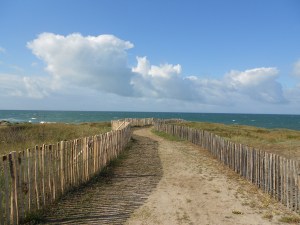 DSCN0228