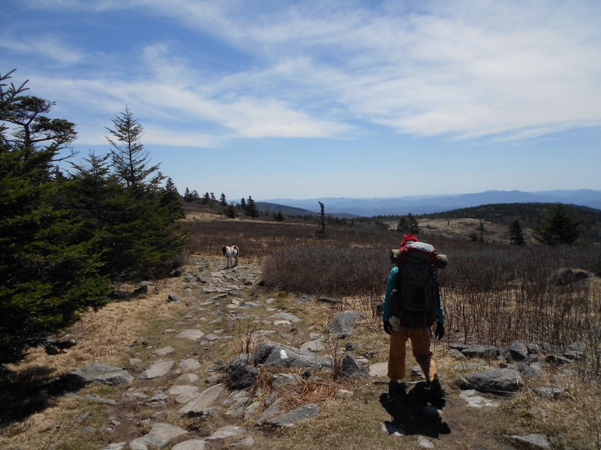 Ponies, pods, and Backpackin’ with&nbsp;Diabetes