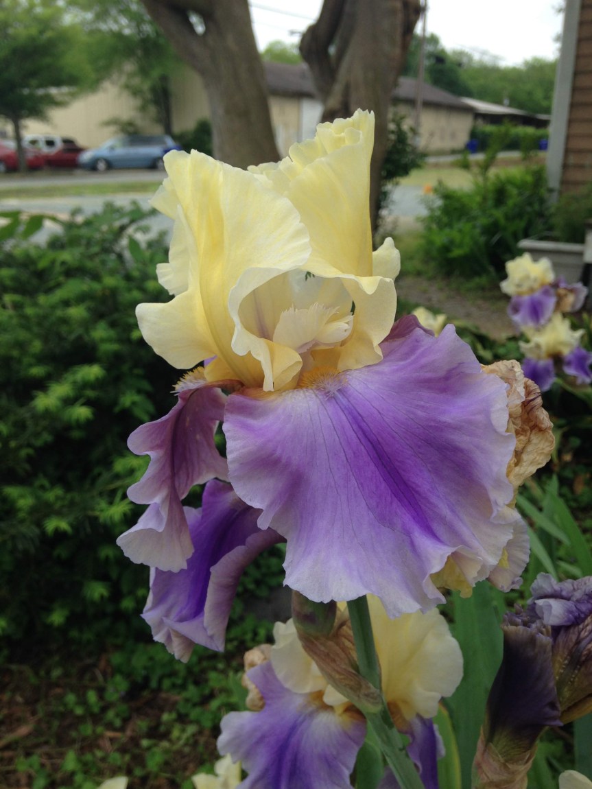 The first week in&nbsp;May